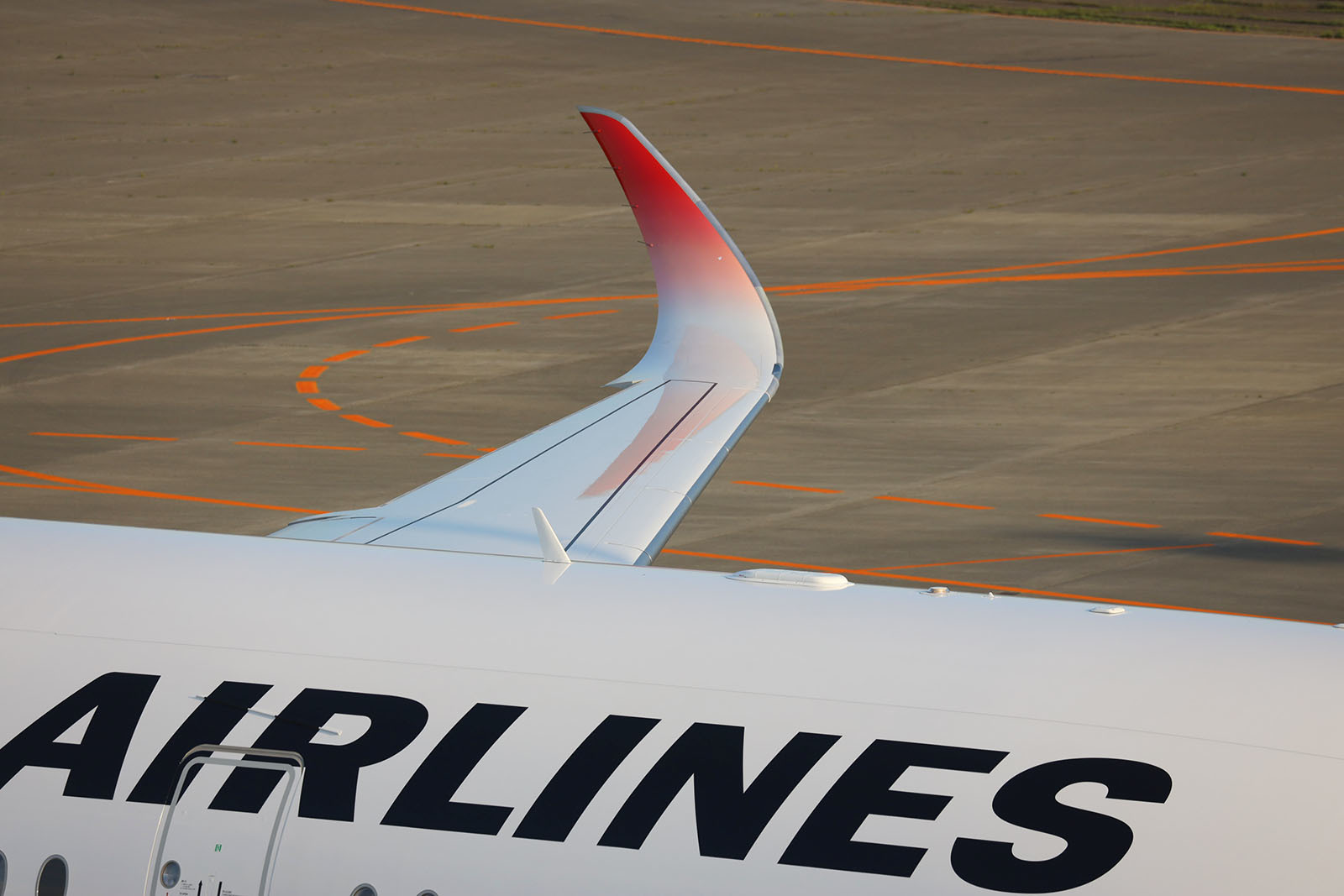 CTS 03JUL2019 「JAL A350-900 訓練飛行」_b0315809_23154607.jpg
