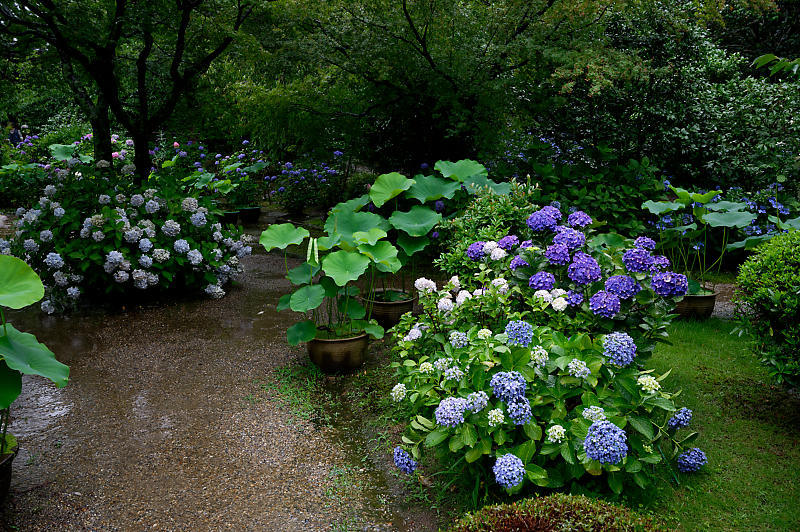 f0032011_20371301.jpg