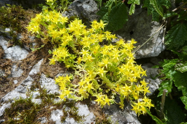 d0170615_21201139.jpg