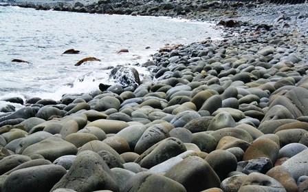 f0213825_16323732.jpg