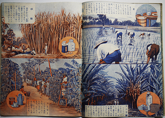 科学絵ばなし南洋の自然 飯塚玲児/前谷惟光/原田三夫/他画 東京