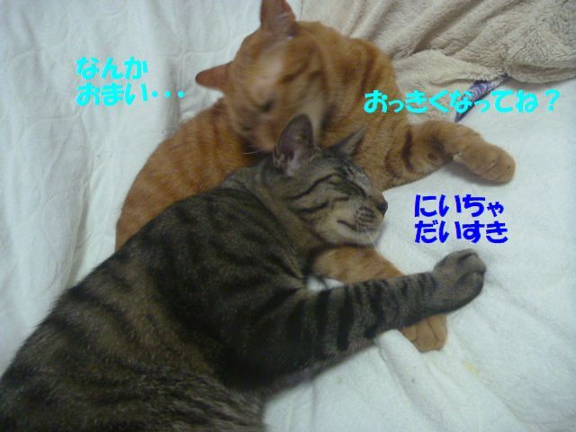 e0142430_12004072.jpg
