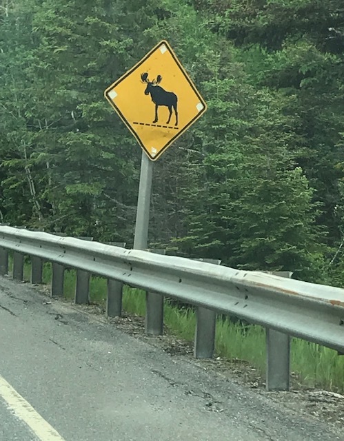 d0269832_04062731.jpeg