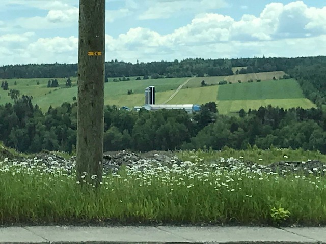 d0269832_04083424.jpeg