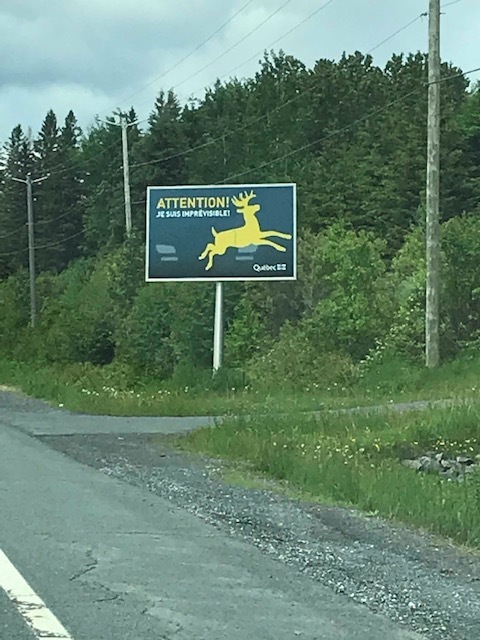 d0269832_04084783.jpeg