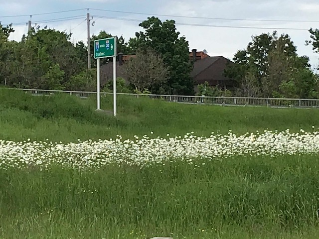 d0269832_04090707.jpeg