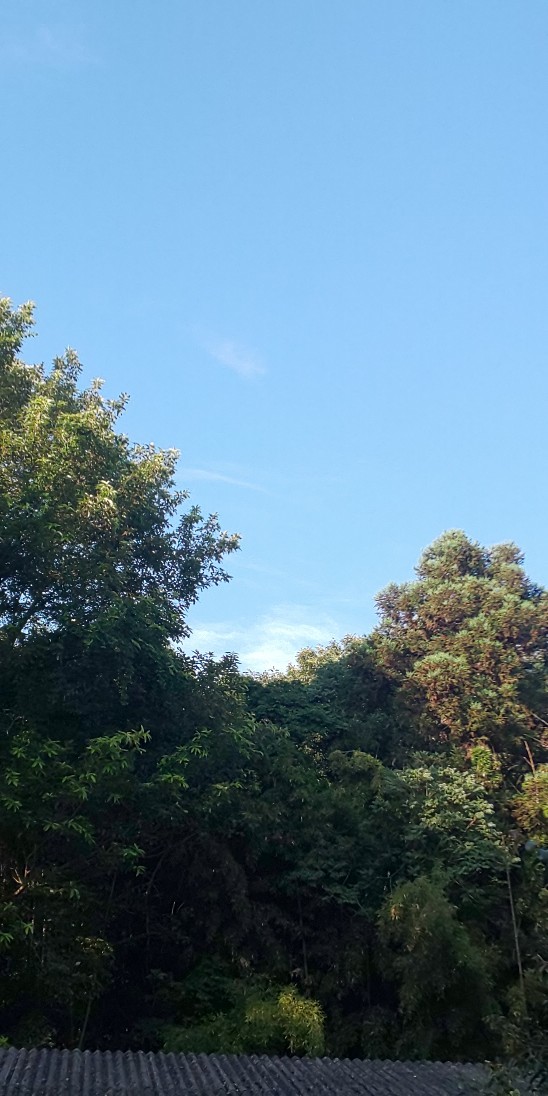 e0376933_22444524.jpg