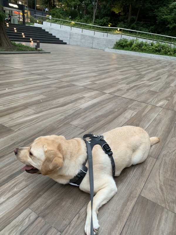 b0364234_21275629.jpeg