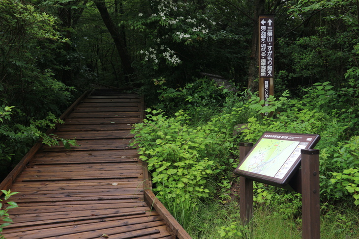 e0272335_17202731.jpg