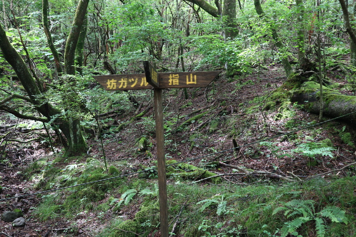 e0272335_18495153.jpg