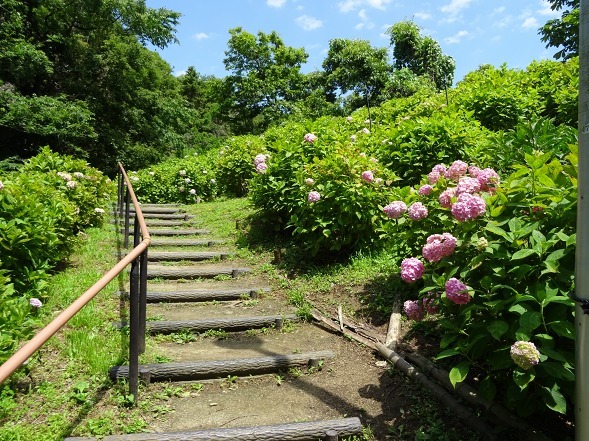 b0299042_20423429.jpg