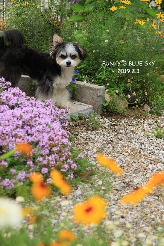 c0145250_09034450.jpg