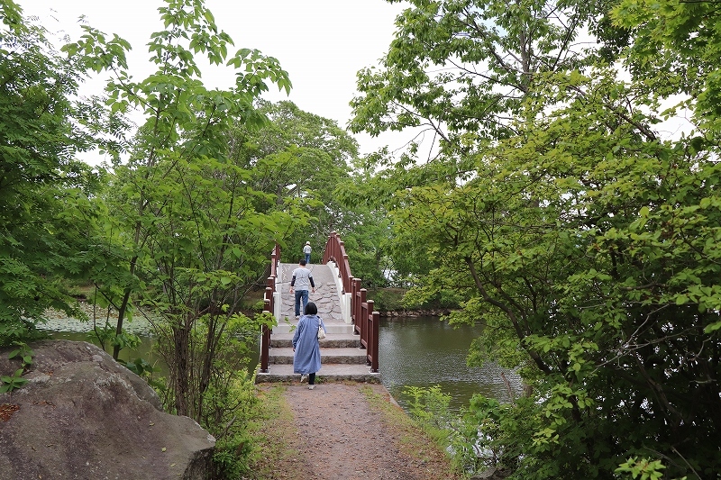 6月23日　再び大沼公園へ　4_b0250154_06300590.jpg