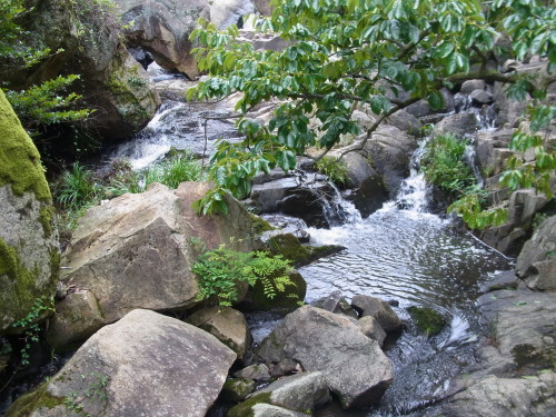 a0187861_00544258.jpg