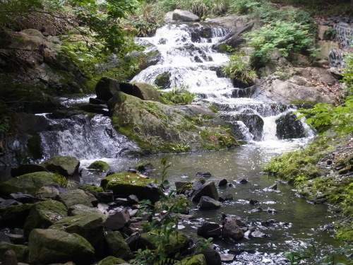 a0187861_00552730.jpg