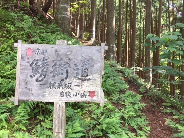b0044663_14423375.jpg