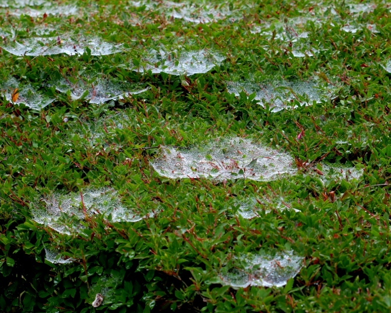 c0305565_17363983.jpg