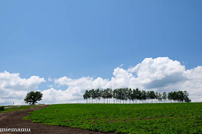 d0340565_19424419.jpg