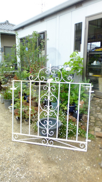 f0260167_22222988.jpg