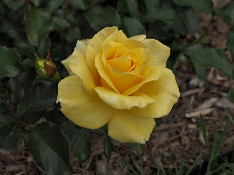 c0183777_1951551.jpg