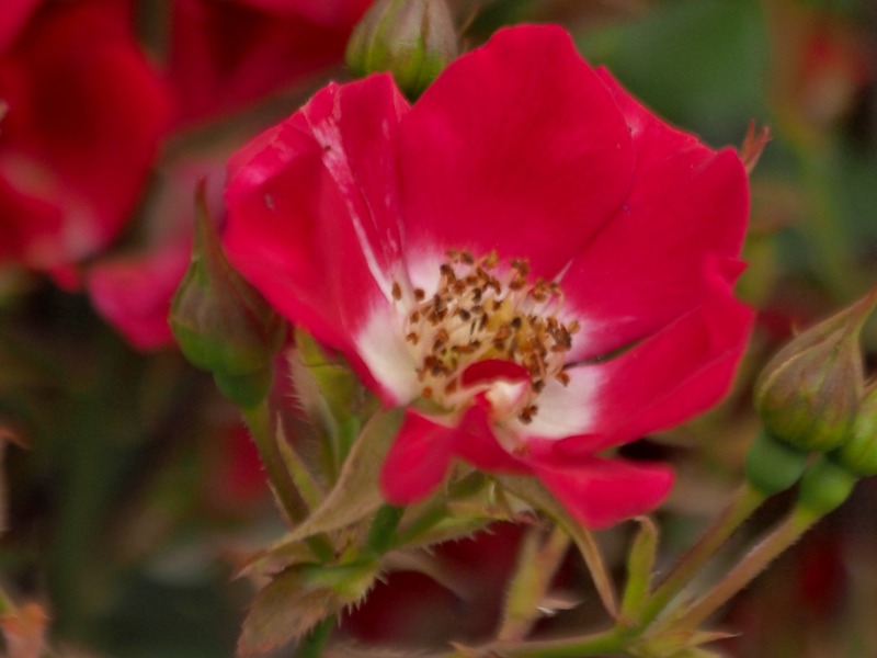c0183777_20362017.jpg