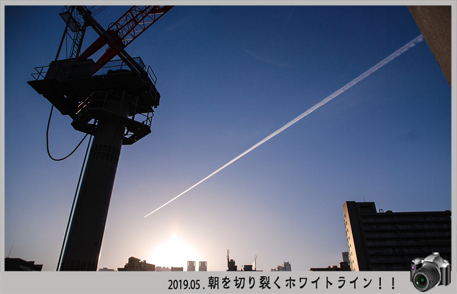 c0009981_10165670.jpg