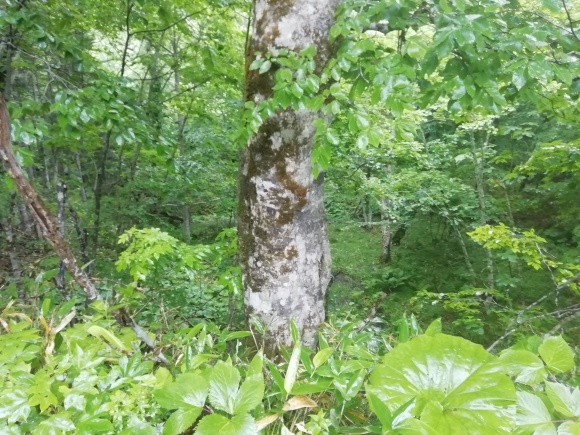 c0212083_12144443.jpg