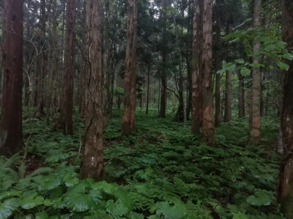 c0212083_12181529.jpg