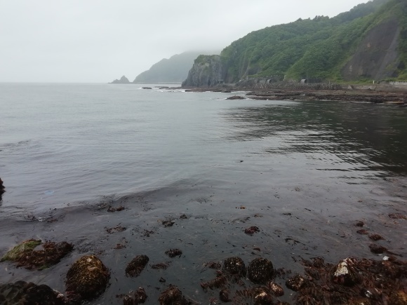 c0212083_12212700.jpg