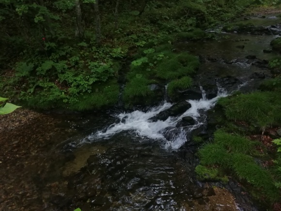 c0212083_15543781.jpg
