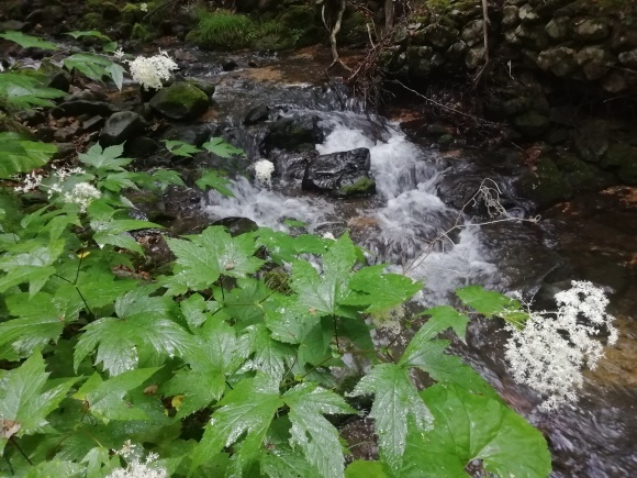 c0212083_15550256.jpg