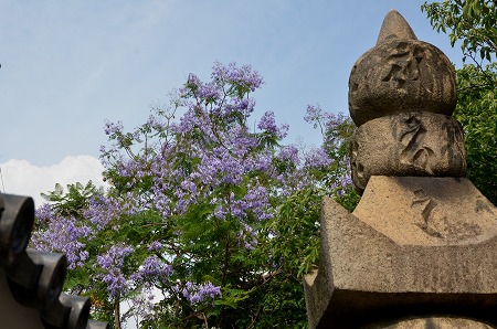 c0229483_1294542.jpg