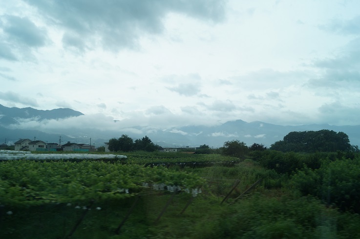 d0129083_16110511.jpg