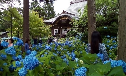 f0205887_21280596.jpg