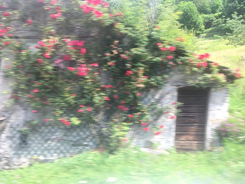 2019イタリアツアー_f0253789_13413028.jpg