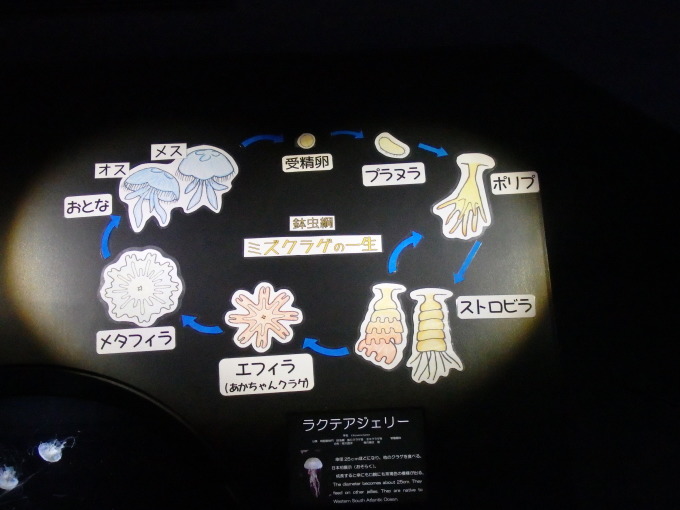 b0324291_22301663.jpg