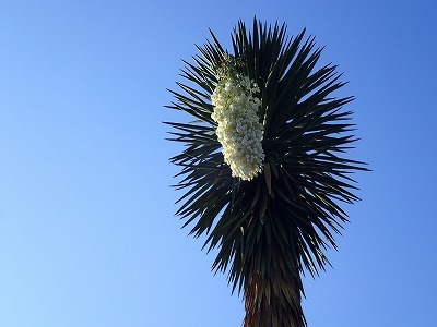 f0203094_16534200.jpg