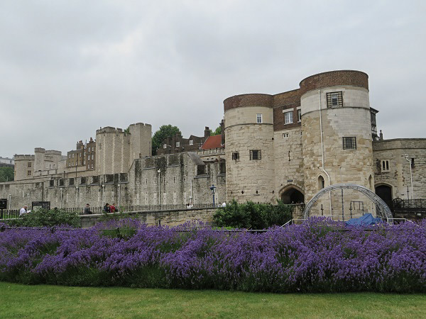 f0346196_17362649.jpg
