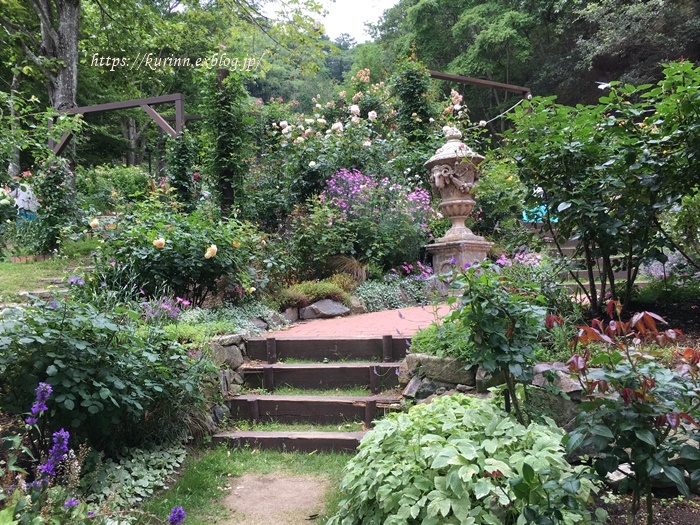 a0123003_08504654.jpg