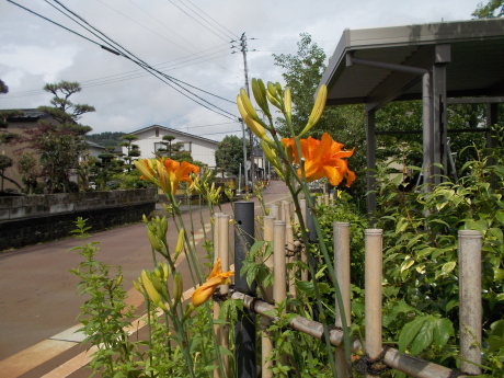 a0203003_15080945.jpg