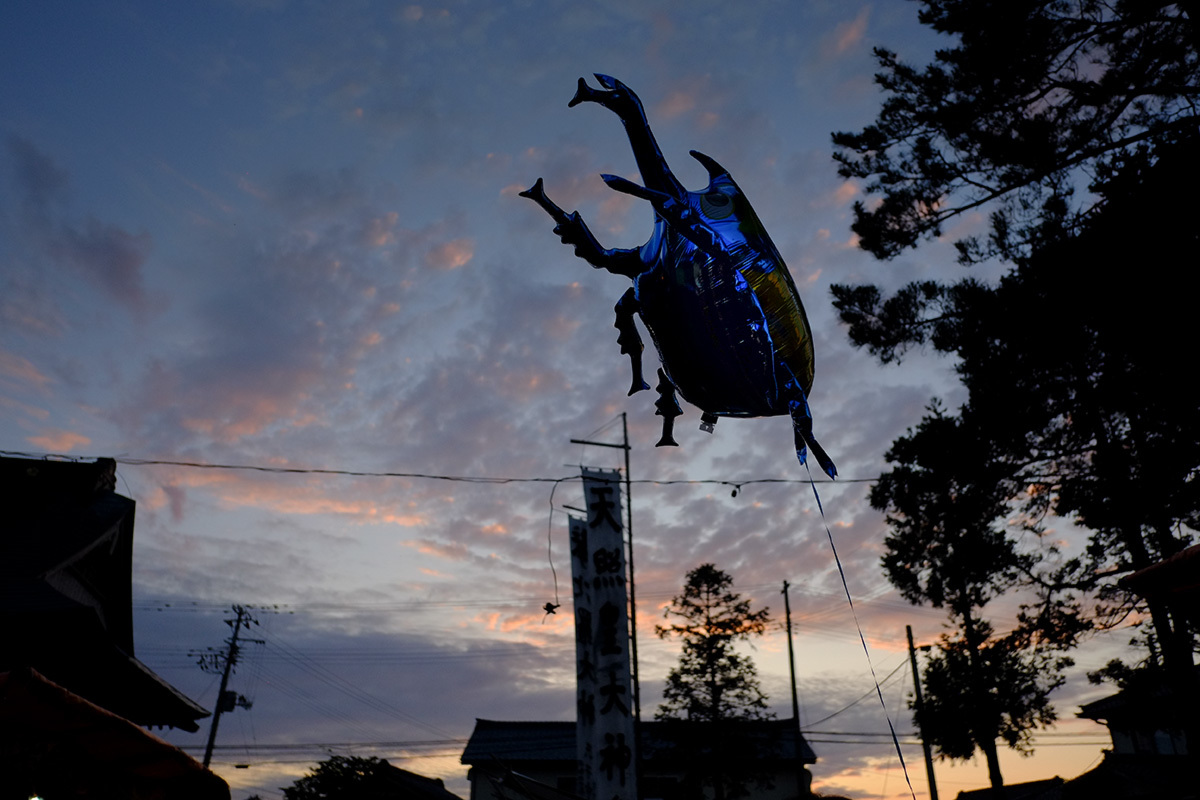 夏祭り　TENNOU,NIIGATA Pref. JAPAN #FUJIXPRO1#FUJIXPRO2_c0065410_23443034.jpg