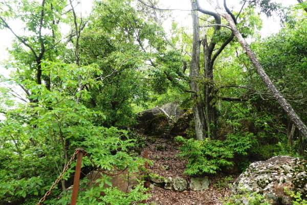 d0170615_21011635.jpg