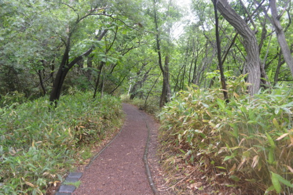 【北海道旅3日目】豪華な朝食〜雨の登別温泉。_d0221319_14474124.jpg