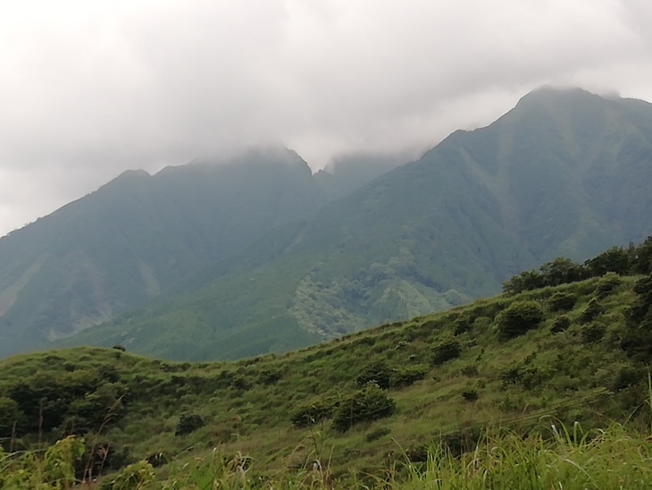 f0193521_12283923.jpg