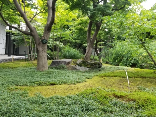 至福三題 _e0016828_10320277.jpg