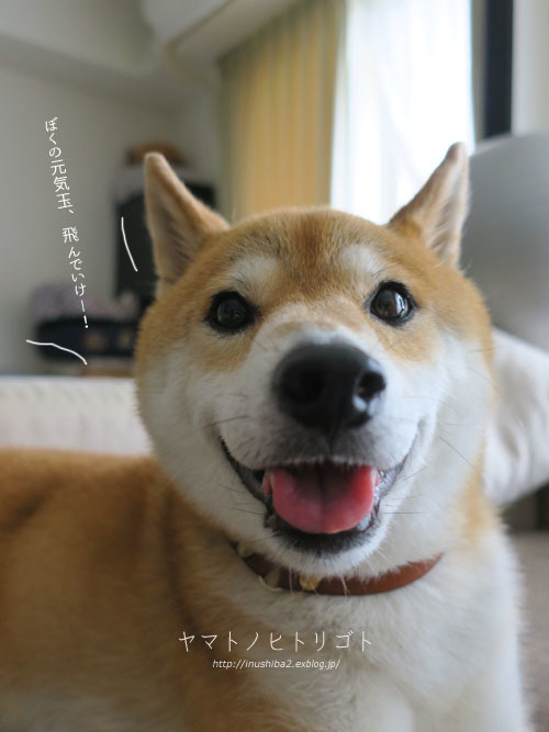 七夕_e0394031_06173897.jpg