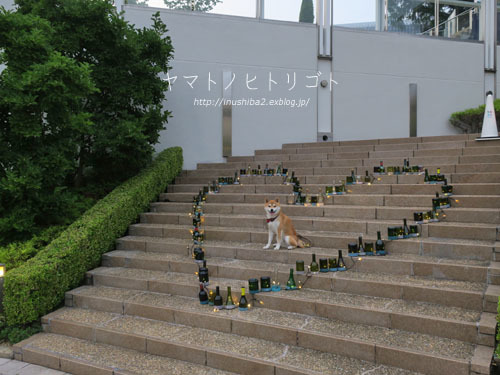 七夕_e0394031_06174165.jpg