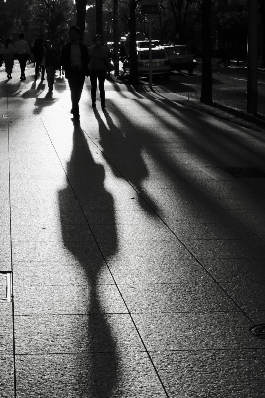 ✿shadow。。。_b0330432_10522768.jpeg