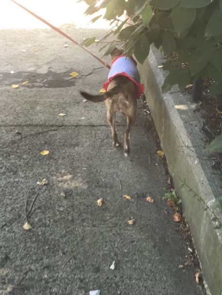 d0269832_09460226.jpeg