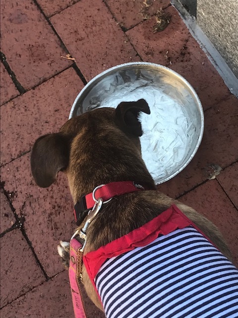 d0269832_09473629.jpeg